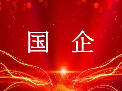 彬州市某國(guó)有企業(yè)集團(tuán)公司 市場(chǎng)化公開(kāi)招聘公告